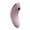 Satisfyer Vulva Lover 1 violet - Pulsacyjny powietrzny stymulator łechtaczki z wibracjami - sexyone.pl sex zabawki i bielizna na każdą fantazję